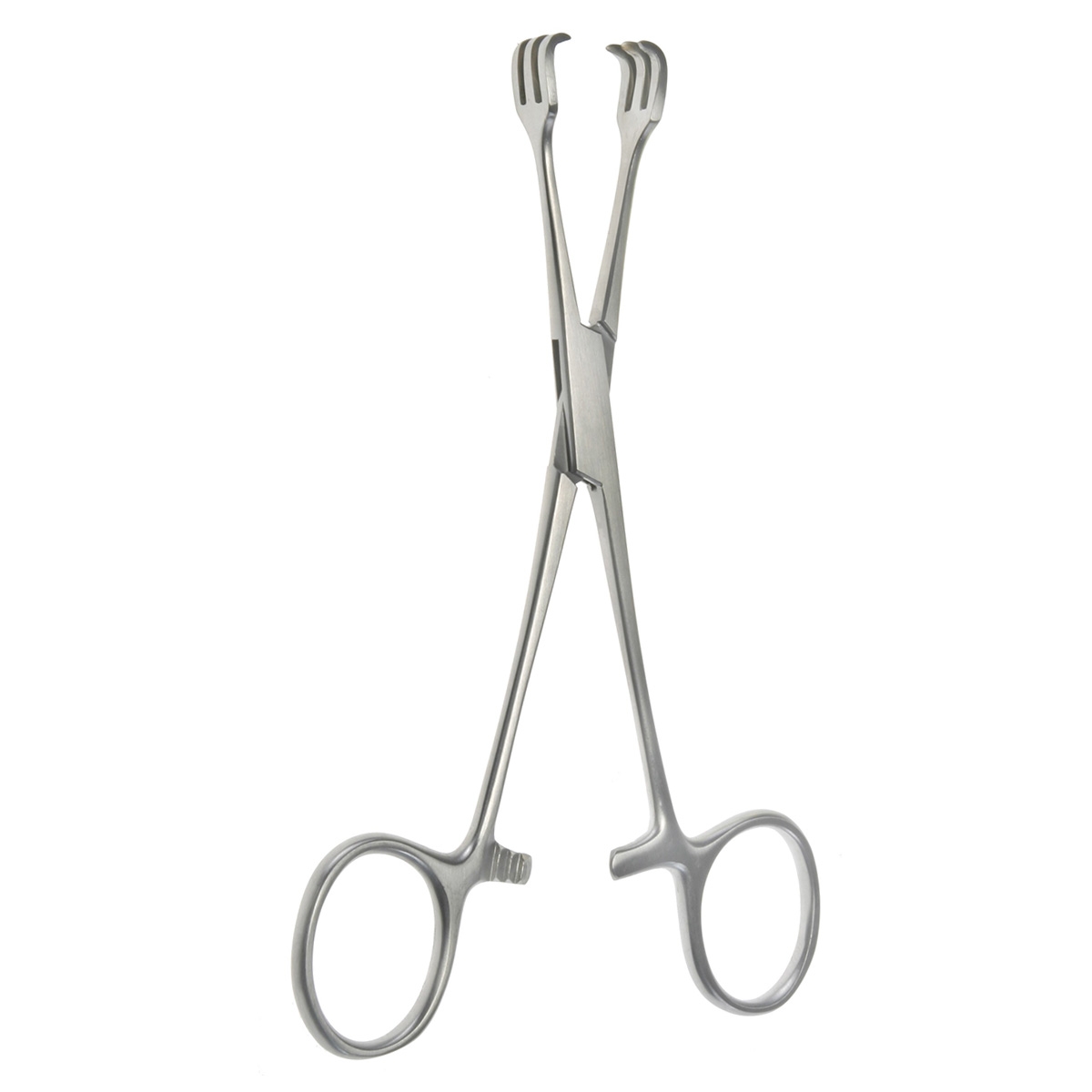 6 ( Triple Hook ) Lahey Traction Forceps 3x3 prong - BOSS Surgical  Instruments