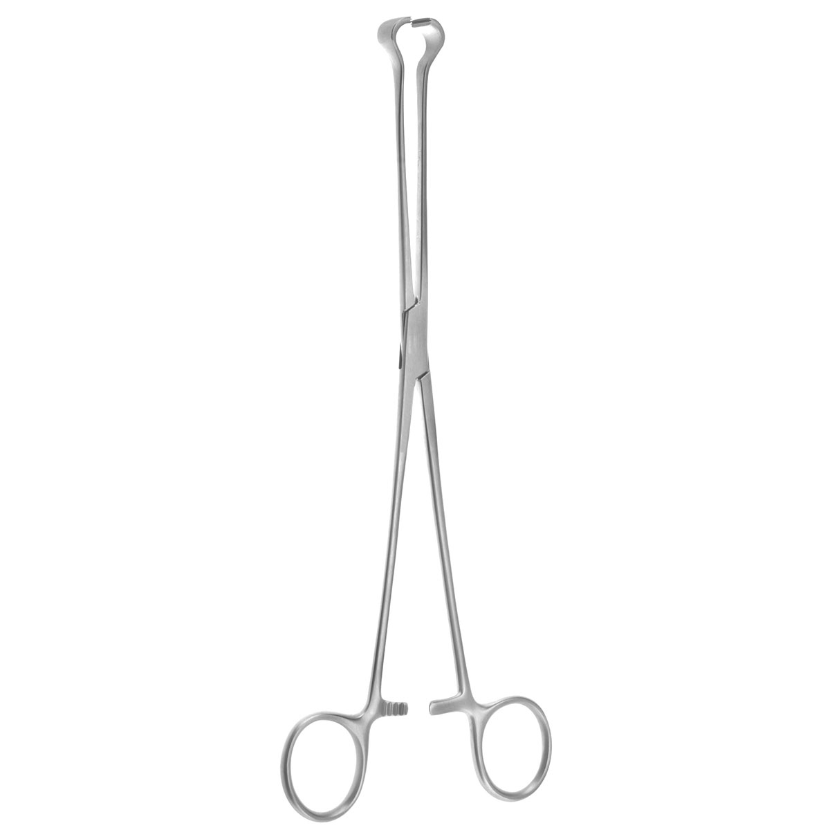 terrorismo Megalópolis Vacante 9 1/2" Turner-Babcock Tissue Forceps - solid jaw atraumatic - BOSS Surgical  Instruments